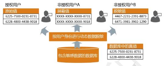 动态数据脱敏系统工具使用效果