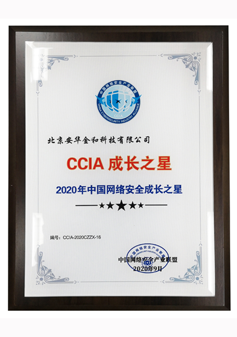2020年中国网络安全成长之星